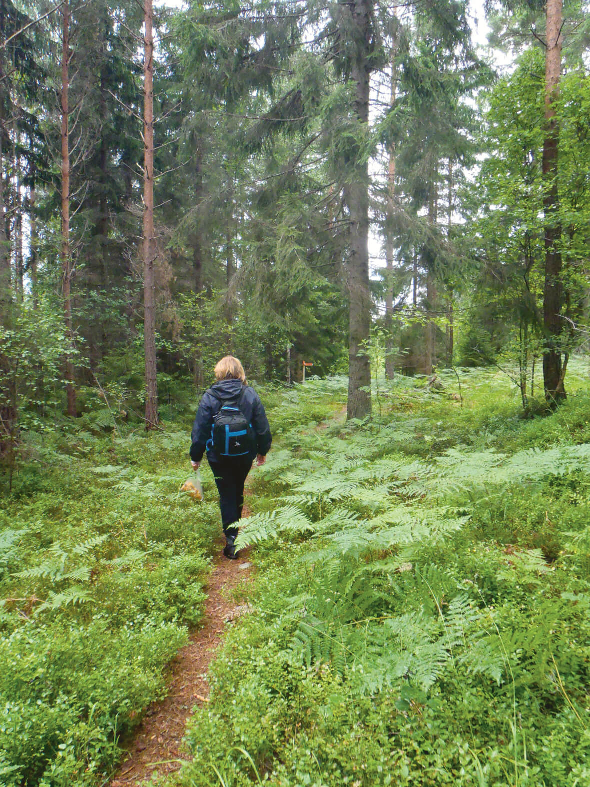 Vandring på Sörmlandsleden